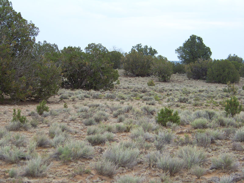 Cibola County, New Mexico