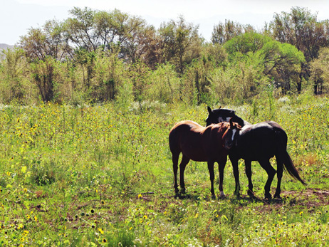 Valencia County, New Mexico